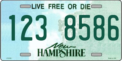 NH license plate 1238586