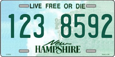 NH license plate 1238592