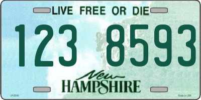 NH license plate 1238593