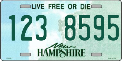 NH license plate 1238595