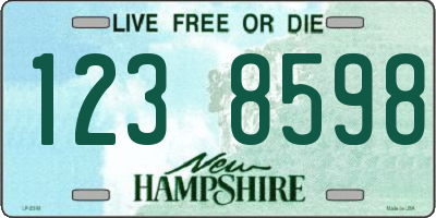 NH license plate 1238598
