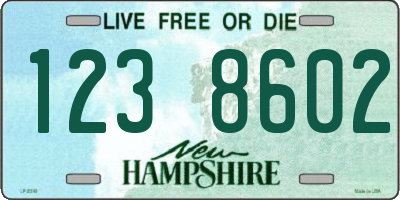 NH license plate 1238602