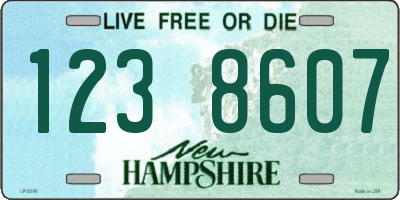 NH license plate 1238607