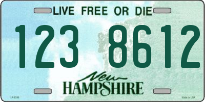 NH license plate 1238612