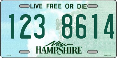 NH license plate 1238614