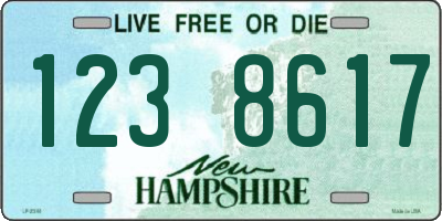 NH license plate 1238617