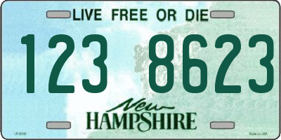 NH license plate 1238623