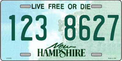 NH license plate 1238627