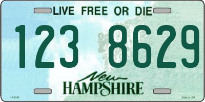 NH license plate 1238629