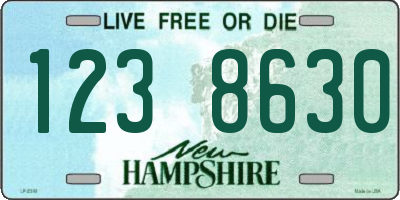 NH license plate 1238630