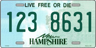 NH license plate 1238631