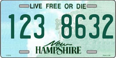 NH license plate 1238632