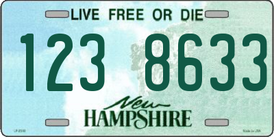NH license plate 1238633