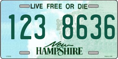 NH license plate 1238636