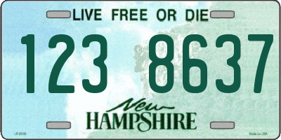 NH license plate 1238637