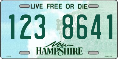 NH license plate 1238641