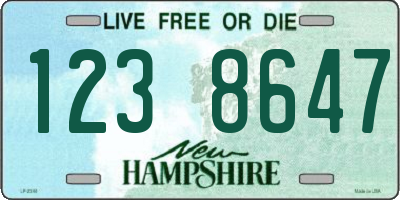 NH license plate 1238647