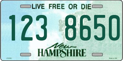 NH license plate 1238650