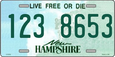 NH license plate 1238653