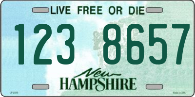 NH license plate 1238657