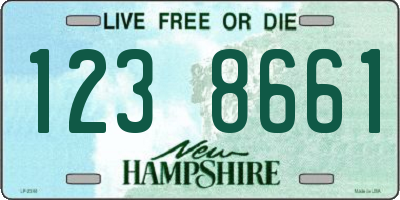 NH license plate 1238661