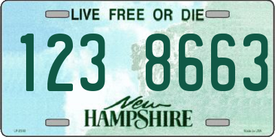 NH license plate 1238663