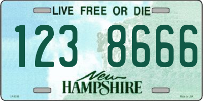 NH license plate 1238666