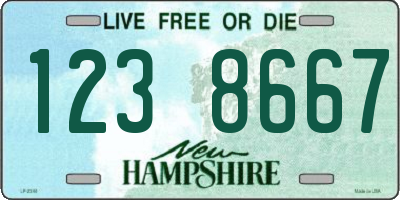 NH license plate 1238667