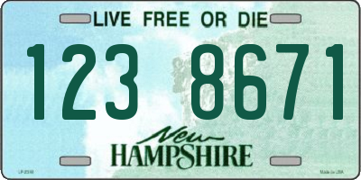 NH license plate 1238671