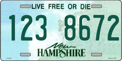 NH license plate 1238672