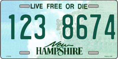 NH license plate 1238674