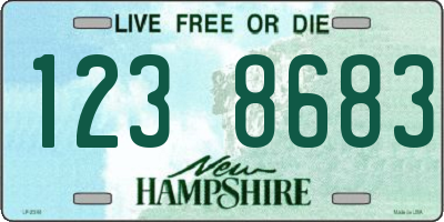 NH license plate 1238683
