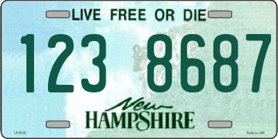 NH license plate 1238687
