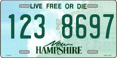 NH license plate 1238697