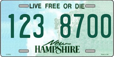 NH license plate 1238700