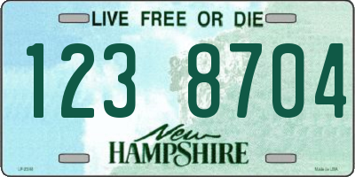 NH license plate 1238704
