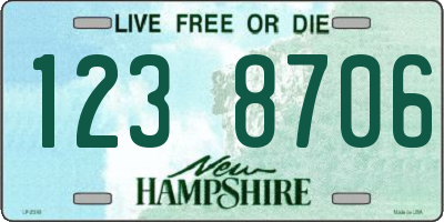 NH license plate 1238706