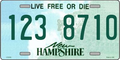 NH license plate 1238710