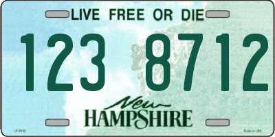 NH license plate 1238712