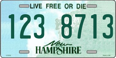NH license plate 1238713
