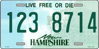 NH license plate 1238714