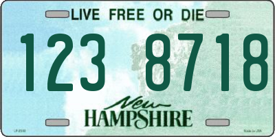 NH license plate 1238718