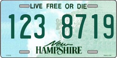 NH license plate 1238719