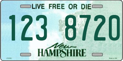 NH license plate 1238720