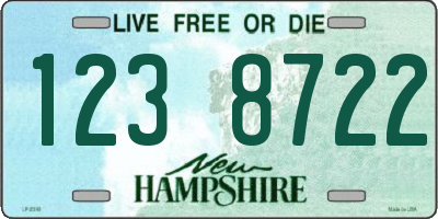 NH license plate 1238722