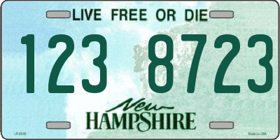 NH license plate 1238723