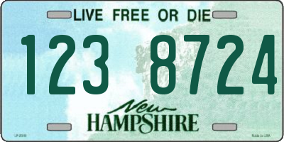 NH license plate 1238724