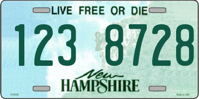NH license plate 1238728