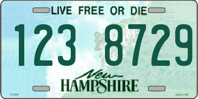 NH license plate 1238729