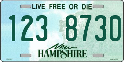 NH license plate 1238730